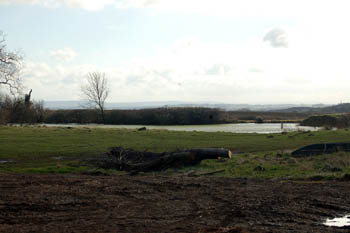 The pond on the site of Potsgrove Manorhouse March 2008